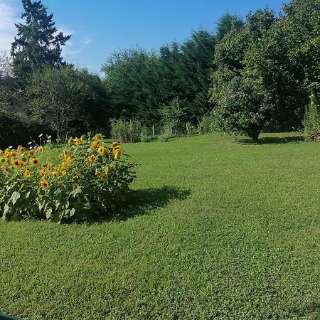Petite Maison Dans Le Morvan Luzy Εξωτερικό φωτογραφία