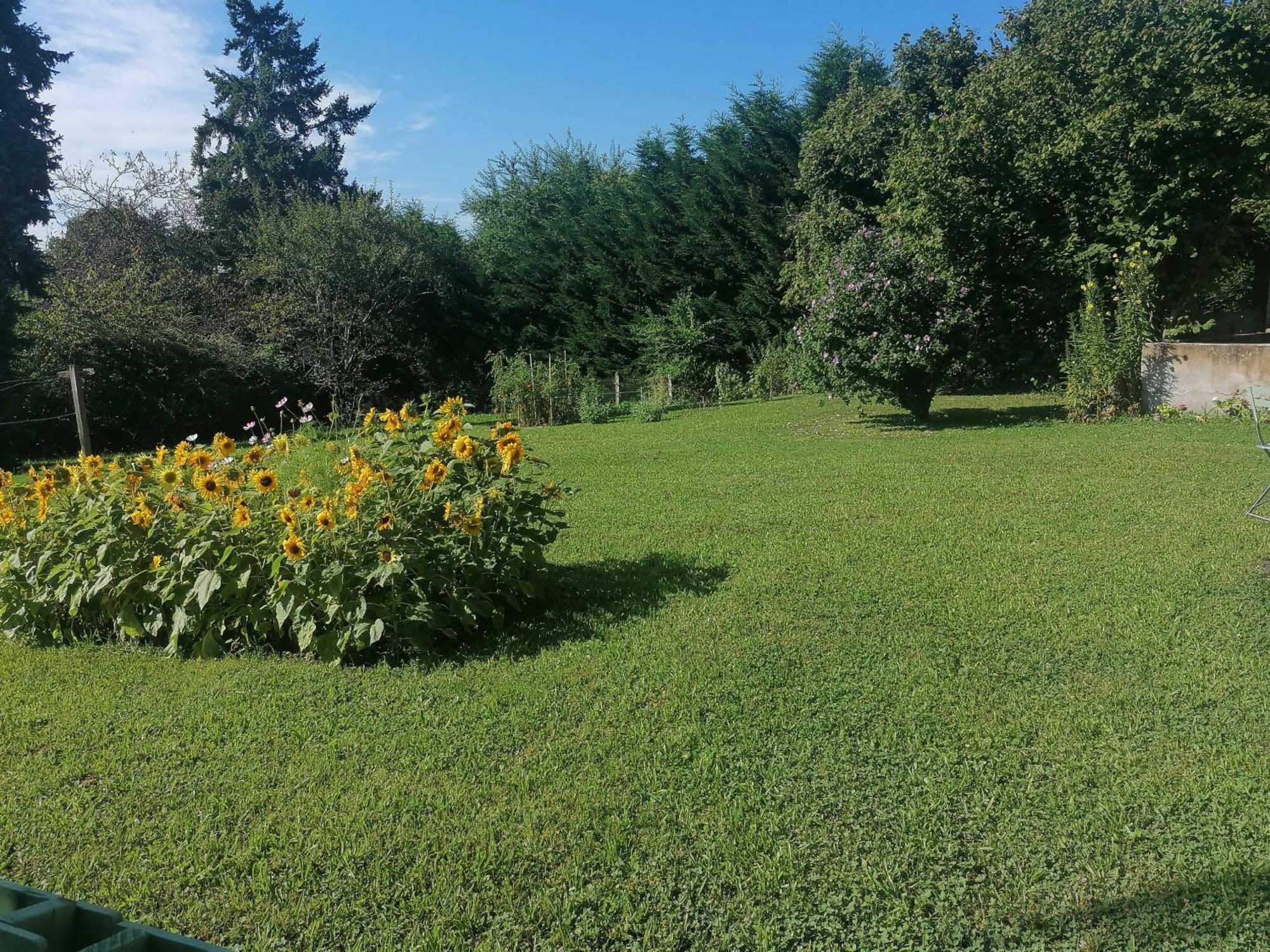 Petite Maison Dans Le Morvan Luzy Εξωτερικό φωτογραφία